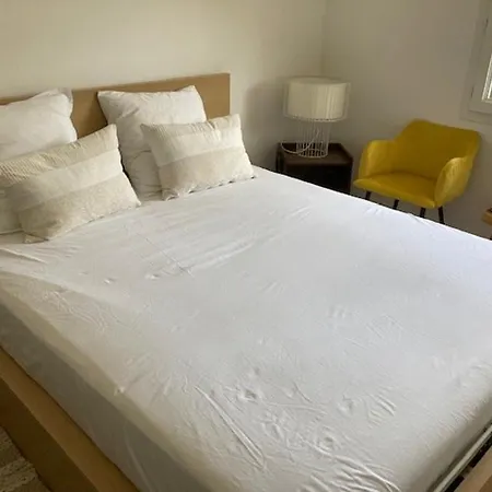 Apartment Bel 2 Pieces Avec Climatisation Et Wifi A - Fr-1-308-195 *