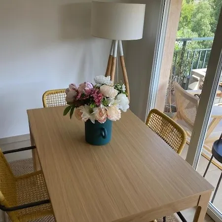 Apartment Bel 2 Pieces Avec Climatisation Et Wifi A - Fr-1-308-195 Bormes-les-Mimosas